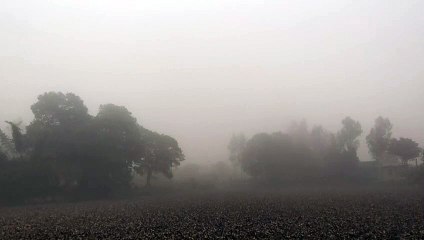 सर्दी का शितम जारी, घने कोहरे के साथ आसमान में बादलों का डेरा