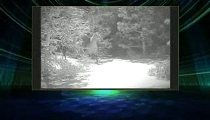 Wagon Train Sea 02 Epis 33 Chuck Wooster, Wagonmaster part 2/2