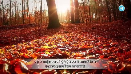 मेल साथी के संपर्क में आए बिना ही इन मछलियों ने बच्चे को दिया जन्म, वैज्ञानिक भी हुए हैरान!