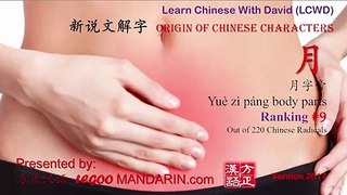Premiere Video - Origin of Chinese Characters HSK 5- 1144 肩  jiān shoulder