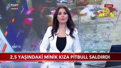 2,5 Yaşındaki Minik Kıza Pitbull Saldırdı