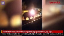 Vahşet! Canlı canlı yaktıkları filin can çekişi kameralara böyle yansıdı