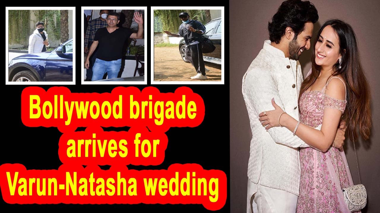 Bollywood brigade arrives for Varun-Natasha wedding| Varun-Natasha wedding