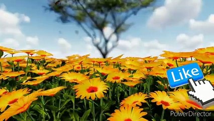 _kahani _chamatkari _shisha ke _rauraapan bhojpuri kahani(360P)