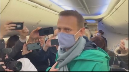Russia arrests dozens amid nationwide pro-Navalny protests