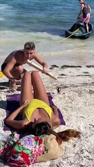 SHE WAS SUNBATHING  ( PARODY)