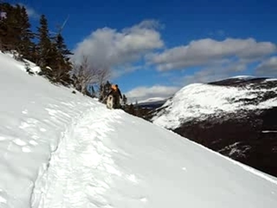 MVI_3412