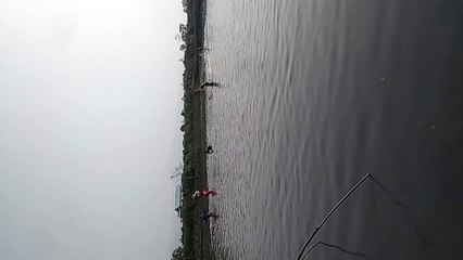 Catching Fish at Farm