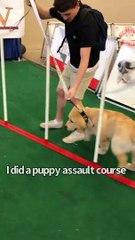 Puppy Grows Up With Human Brothers
