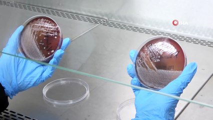 Yıkanan Veya Kolonya Sıkılan Maskede Korkutan Sonuç