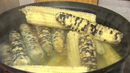 겨울 간식으로 변신한 '냉동 옥수수'...농가 소득 '짭짤' / YTN