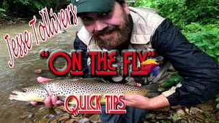 How to Fish Trout Streams