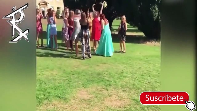 SI TE RÍES PIERDES NIVEL MUY DIFÍCIL 99999999% IMPOSIBLE NO REIR) Mejores Videos de Risa ✅⭐