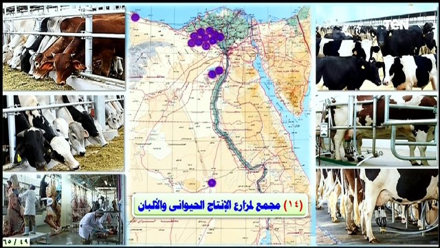 السيسي يفتتح مشروع الفيروز للاستزراع السمكي ببورسعيد وعدد من المشروعات القومية تغطية كاملة ج2