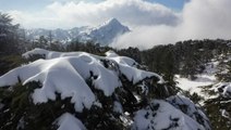 Lebanon’s iconic cedar trees blanketed with snow
