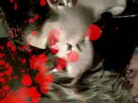 NOS VACANCES EN ESPAGNE (L)