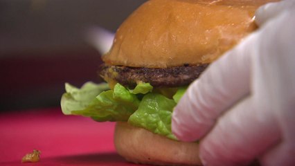 '화상연수' 만든 여행사·'햄버거' 파는 쌀국수집...다시 희망을 말하다 / YTN