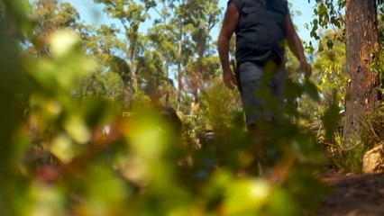 Two years on since destructive Tasmanian bushfires