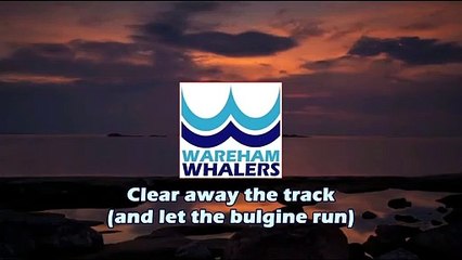 Clear away the track (and let the bulgine run) - Wareham Whalers