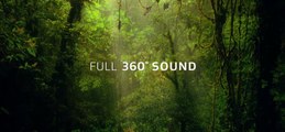Dolby Atmos Amaze | check system's surround sound