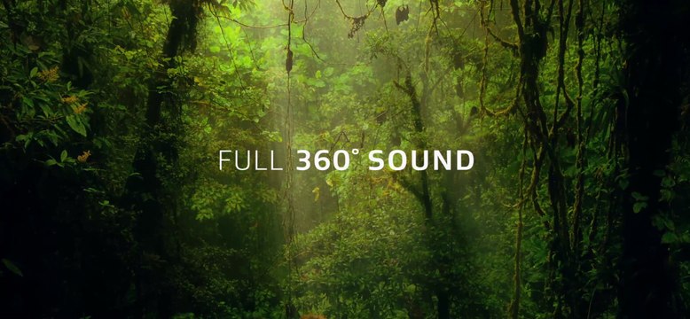 Dolby Atmos Amaze | check system's surround sound