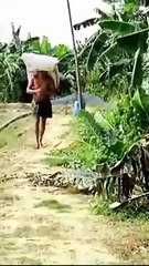 Foods Being Taken Down For Fish