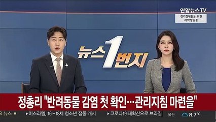 정총리 "반려동물 감염 첫 확인…관리지침 마련을"