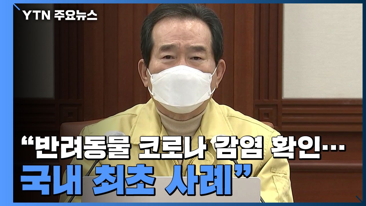 정 총리 "반려동물 코로나19 감염 확인...국내 최초 사례" (중대본 회의 모두발언...