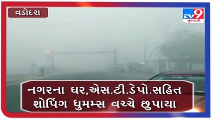વડોદરામાં ધુમ્મસની ચાદર _ Tv9GujaratiNews