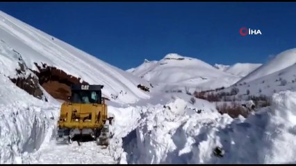 Şırnak’ta ev ve araçlar kar altında kayboldu