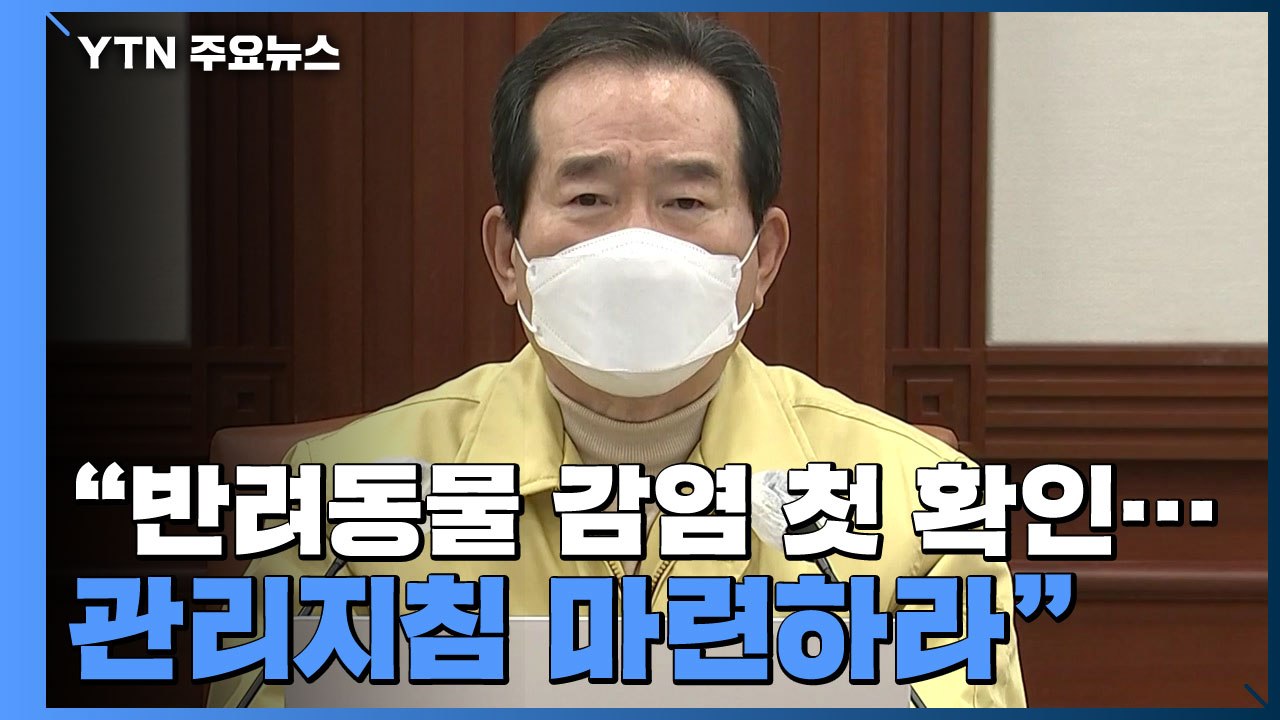 정 총리 "반려동물 코로나19 감염 첫 확인...관리지침 마련하라" / YTN