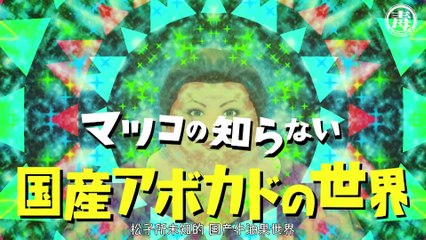 201117 牛油果的世界