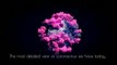 Inquietud en la comunidad científica por las nuevas variantes del coronavirus
