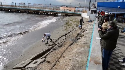 Kısıtlamada aç kalan martıların yiyecek kapma mücadelesi