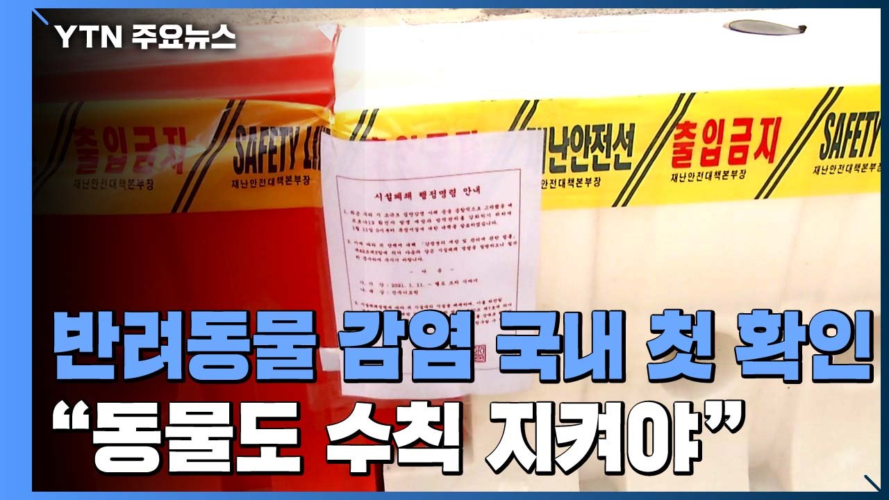 반려동물 감염 국내 첫 확인..."동물도 방역 수칙 지켜야" / YTN