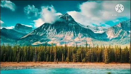 Why Dead Whales are so Dangerous. मरने के बाद व्हेल ओर खतरनाक क्यों हो जाती है।