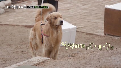 [귀여움주의] 산꼭대기 첫 ‘댕댕이’ 손님 등장♥