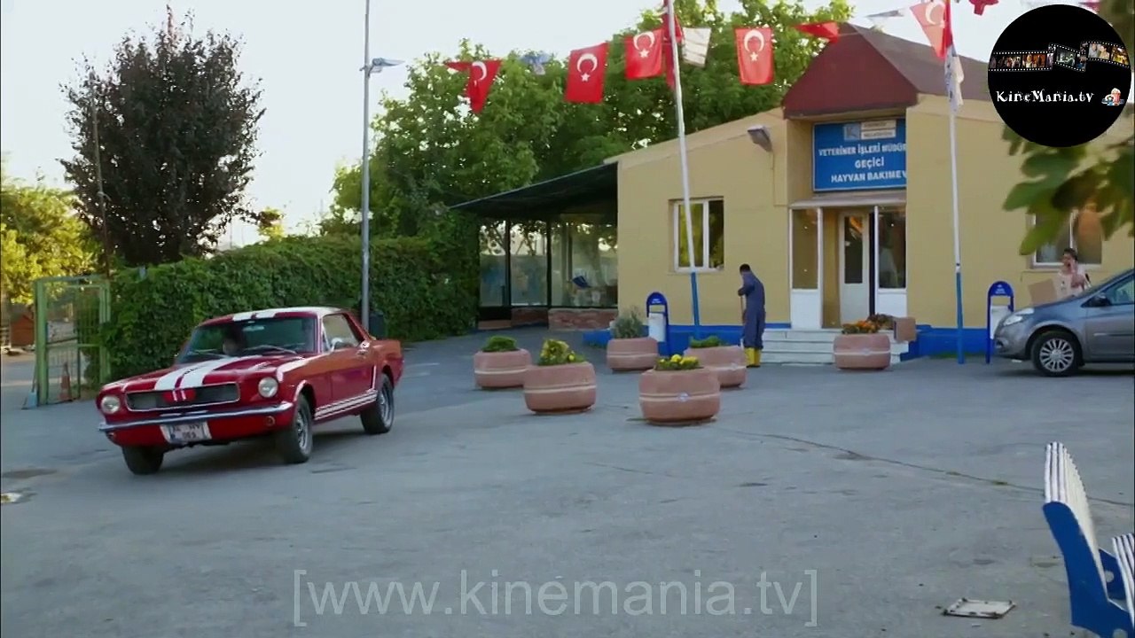 Dolunay E2 P1 - The Price of A Mistake