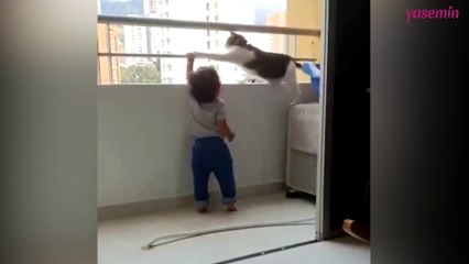 Minik dostunu koruyan kedi!