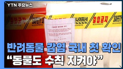 반려동물 감염 국내 첫 확인..."동물도 방역 수칙 지켜야" / YTN