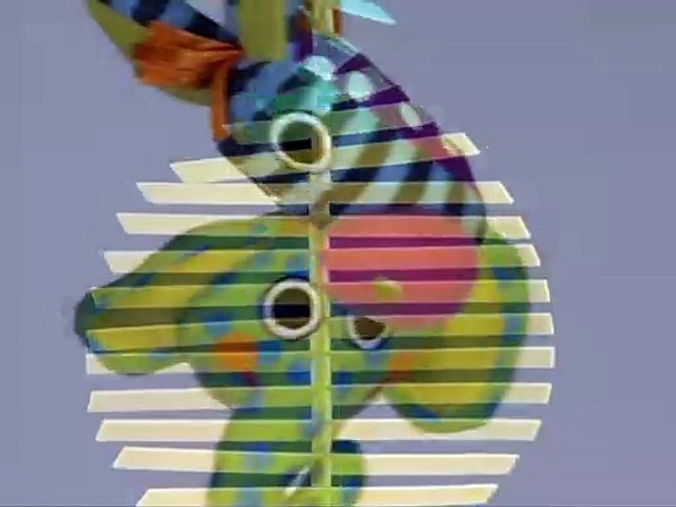 Baby Einstein - Baby Beethoven: Activity Time - Making Music Together (2008)