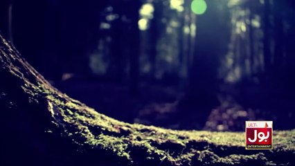 Marham Episode 01 - Pakistani Drama - 05 December 2018 - BOL