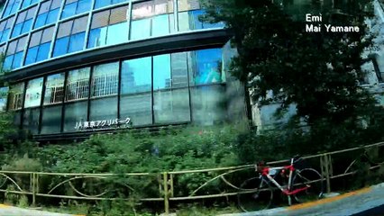 Mai Yamane - Emi