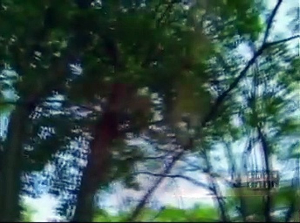 Paradise Falls- The Truth About Pamela episode 3