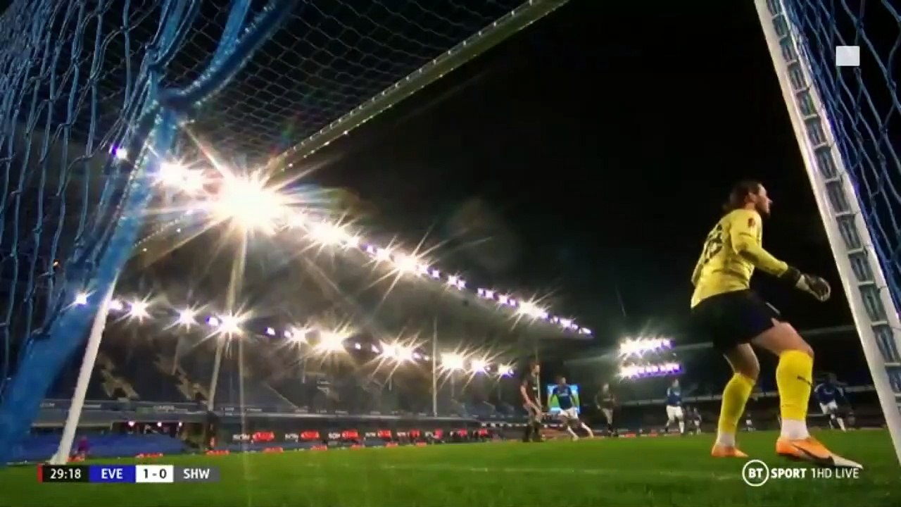 Everton 3-0 Sheffield Wednesday - All Goals and Highlights 24/01/2021