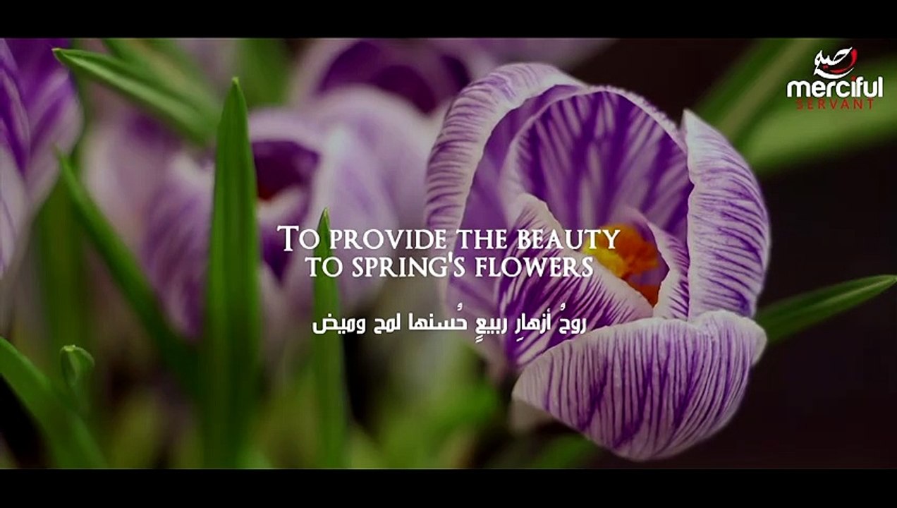 ☀️ Radiant Sun - Heart Touching Nasheed