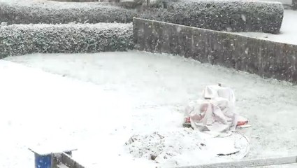 From green to white in a flash