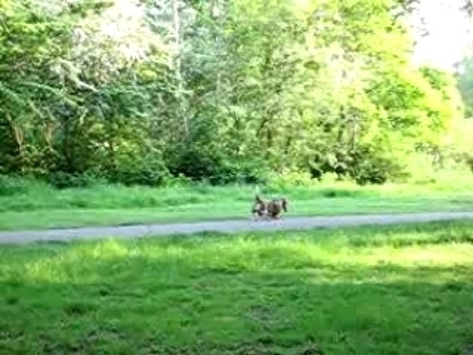 Passer-by