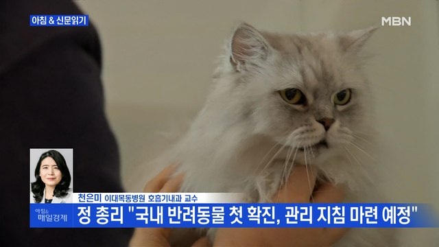 신문브리핑1 보호자 확진 뒤 고양이 양성 외 주요기사