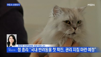 신문브리핑1 "보호자 확진 뒤 고양이 양성"외 주요기사